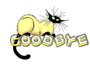 Powerpoint animation goodbye funny cat